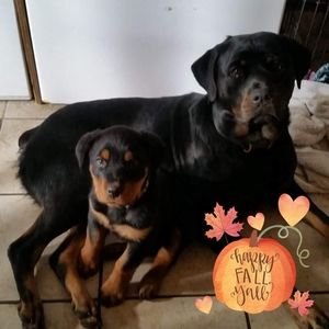 Meet your Posher, Raymond